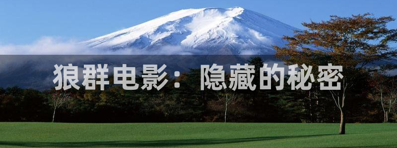 北京青年电视剧免费观看西瓜
