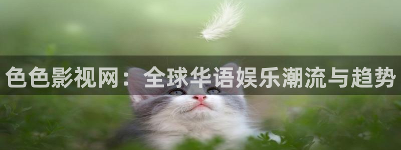 我想看西瓜视频