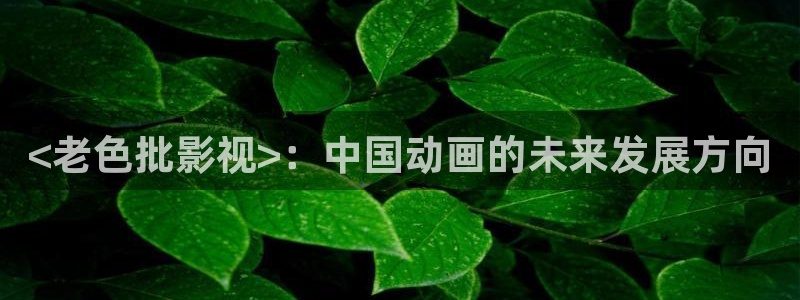 西瓜影视看电视剧