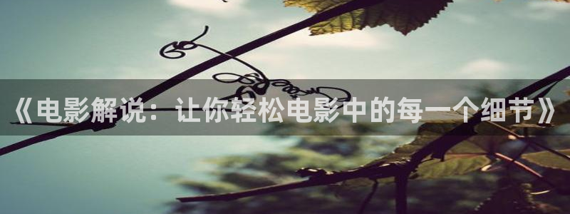 西瓜视频直播