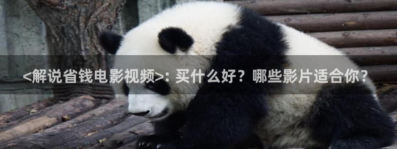 西瓜视频入口