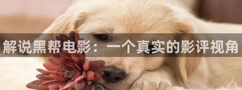 西瓜影院免费观看完整版电影