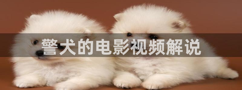 西瓜影院在线观看高清电视剧