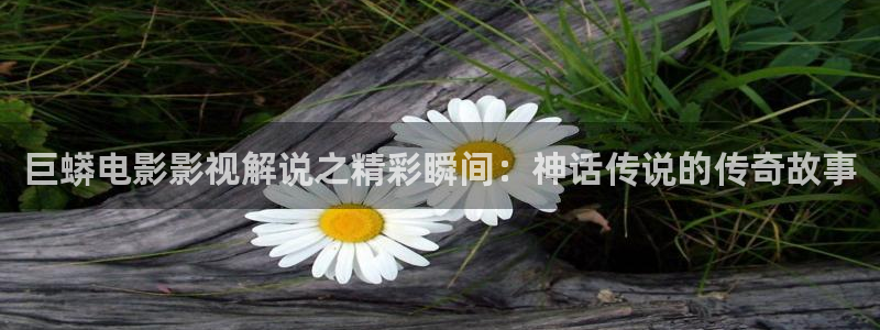 爱情不打烊电视剧免费观看西瓜