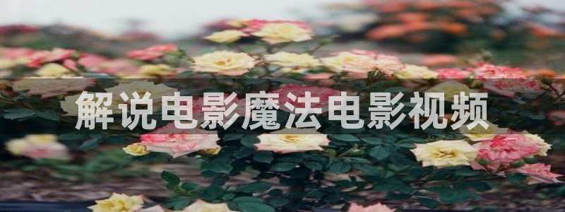 不能没有家免费观看西瓜