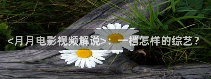 好久不见西瓜免费观看全集