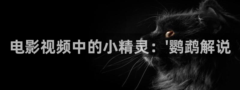 西瓜电影