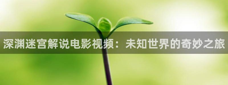 难哄电视剧免费观看西瓜影院