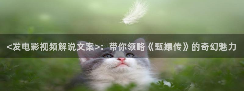 地道战电影完整版免费观看西瓜