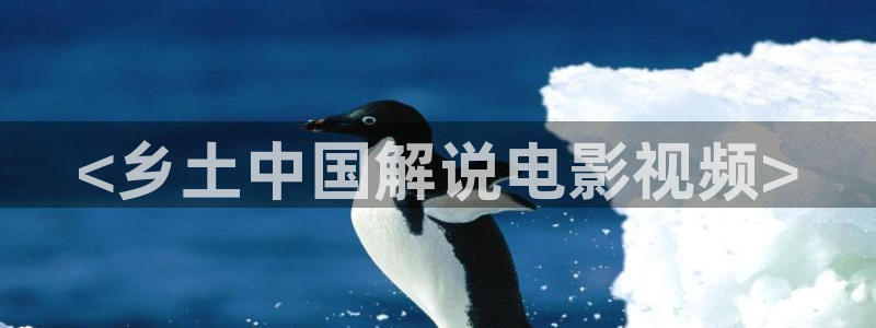 西瓜影院理论电影理论：<乡土中国解说电影视频>