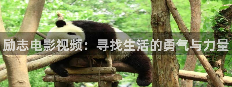 那江烟花那江雨西瓜免费观看：励志电影视频：寻找生活的勇气与力量