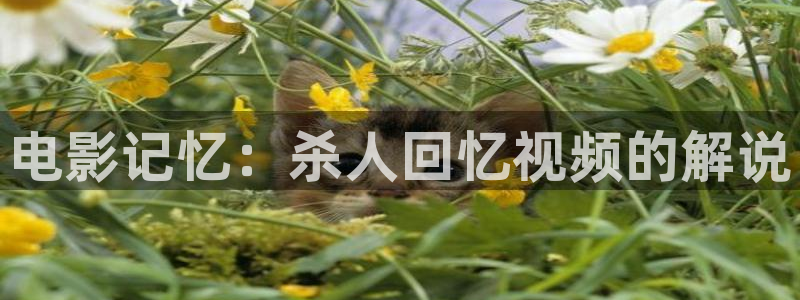 少年白马醉春风西瓜影院免费观看：电影记忆：杀人回忆视频的解说