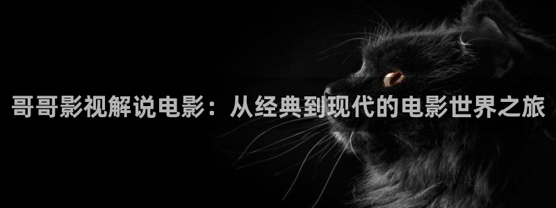 安家电视剧全集免费观看西瓜：哥哥影视解说电影：从经典到现代的电影世界之旅