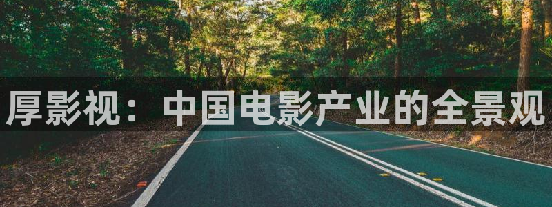 妈妈的朋友2在线西瓜：厚影视：中国电影产业的全景观