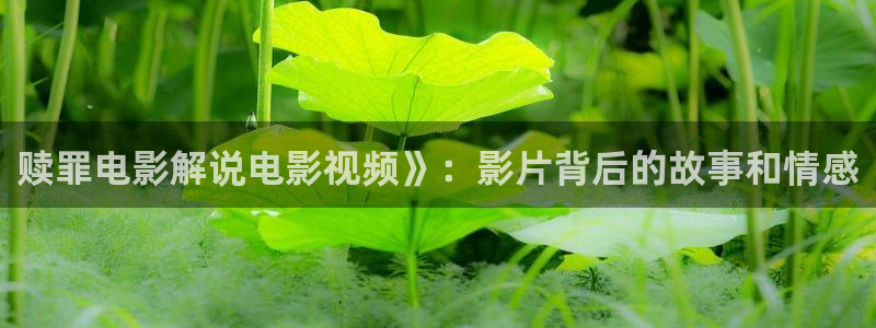 西瓜影院中文字幕：赎罪电影解说电影视频》：影片背后的故事和情感