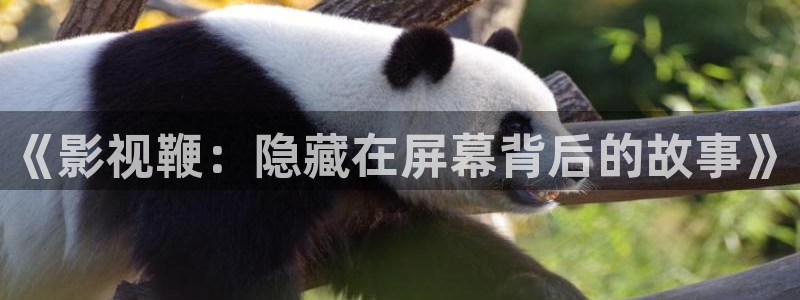 司藤在线全集免费观看西瓜：《影视鞭：隐藏在屏幕背后的故事》