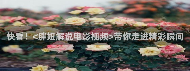 那年花开月正圆免费观看西瓜：快看！<胖妞解说电影视频>带你走进精彩瞬间
