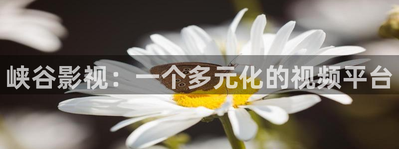 全职高手西瓜影院：峡谷影视：一个多元化的视频平台